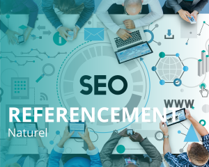 seo-lyon